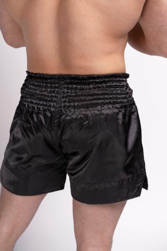 UNI THAI  Herren Thaibox-Hose - Benlee - 199163